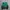 Asics Sportswear Windbreaker Wanita green black photo 3