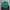 Asics Sportswear Windbreaker Wanita green black photo 1
