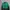 Asics Sportswear Windbreaker Wanita Green Black
