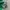 Polo Ralph Lauren Streetwear T-shirt Pria green photo 5