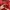 MLB Vintage Sportswear Hoody Pria red photo 2