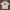 Nike Vintage T-shirt Pria White