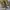 Nike Sportswear Casual Sneakers Pria gold silver photo 5