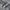 Nike Sportswear Casual Sneakers Pria gold silver photo 1