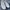 Nike Sportswear Casual Sneakers Pria white photo 5