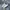 Nike Sportswear Casual Sneakers Pria White