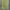 Japanese brand Streetwear Hoody Pria yellow gray photo 1