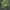 Nitraid Streetwear Y2K Hoody Pria green black photo 1