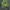 Nitraid Streetwear Y2K Hoody Pria Green Black