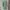 Adidas Vintage Polo shirt Pria green white photo 6