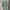 Adidas Vintage Polo shirt Pria green white photo 1