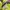 The North Face Gorpcore Sportswear Bag Pria purple photo 7