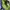The North Face Gorpcore Sportswear Bag Pria purple photo 6