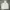 Y2K Sportswear Hoody Pria white photo 4