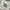 Y2K Sportswear Hoody Pria white photo 8