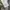 Nike Streetwear Hoody Pria gray photo 5