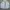 Nike Casual Windbreaker Pria silver white photo 1