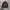 Von Dutch Luxury Avant Garde Formal shirt Pria brown photo 1
