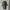Blackyak Vintage Streetwear Polo shirt Pria green photo 5