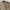 Stone Island Sportswear Casual Bomber jacket Pria tan photo 3