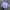 Uniqlo Fairy Futurist Formal shirt Pria white blue photo 5