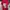 Hangten Emo Casual Casual shirt Pria red photo 1