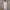 Luxury Minimalist Bodycon dress Wanita white photo 1
