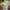 Casual Sweater Wanita green photo 4