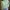 Casual Sweater Wanita green photo 1