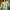 Casual Sweater Wanita green photo 3