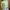 Casual Sweater Wanita green photo 2