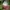 MLB Casual Hat Kids White Pink