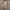 Casual Sweatpants & Joggers Kids multicolor photo 1