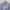 Thom Browne Minimalist Casual Shirt Wanita blue photo 2