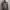 Streetwear Fleece Pria multicolor photo 1