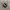Vans Casual Sneakers Pria white black photo 1