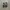 Vans Casual Sneakers Pria white black photo 4