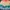 Streetwear Sportswear Short Pria green tan photo 4