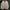 Indie Casual Harrington jacket Pria cream tan photo 4