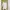 Zara Casual Wanita white tan photo 1