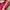 Puma Casual Sneakers Pria white red photo 2