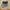 Salomon Casual Sneakers Pria green black photo 4