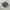 Adidas Casual Sneakers Wanita multicolor photo 1