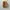 Adidas Casual Sneakers Wanita multicolor photo 4