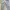 Japanese brand Sportswear Sweatpants & Joggers Pria gray photo 1