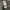 Oakley Gorpcore Sportswear Track jacket Pria gray photo 8