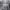 Vintage Sportswear Windbreaker Pria gray photo 2