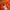 Montbell Gorpcore Sportswear Short Pria orange photo 4
