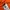 Montbell Gorpcore Sportswear Short Pria orange photo 5