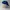 Nike Vintage Streetwear Hat Pria navy blue photo 4